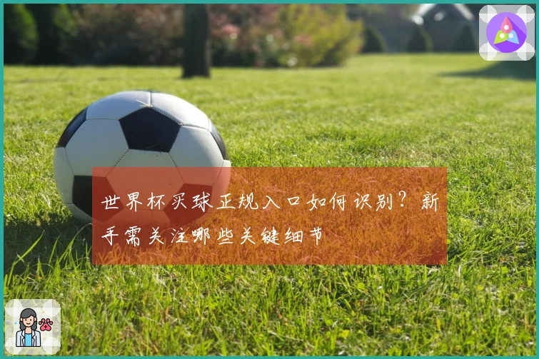 世界杯买球正规入口如何识别？新手需关注哪些关键细节