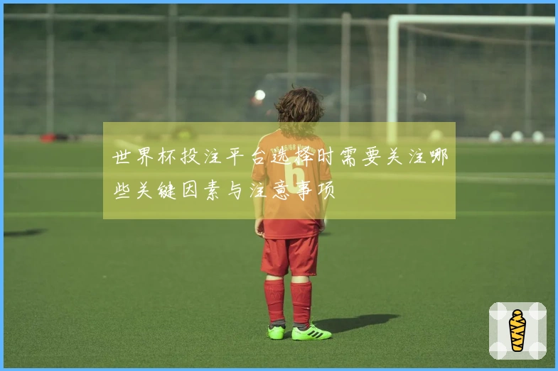 世界杯投注平台选择时需要关注哪些关键因素与注意事项
