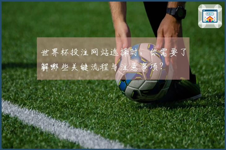 世界杯投注网站选择时，你需要了解哪些关键流程与注意事项？