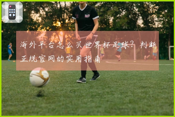 海外平台怎么买世界杯足球？判断正规官网的实用指南