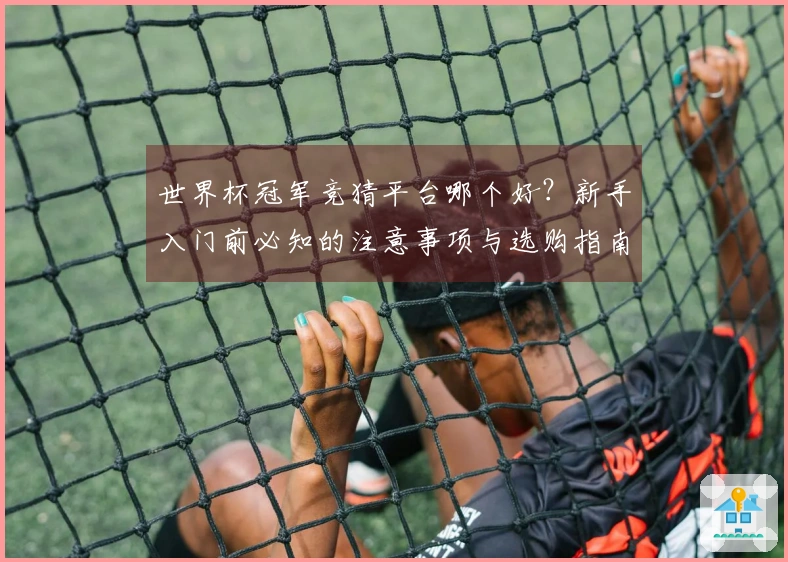 世界杯冠军竞猜平台哪个好？新手入门前必知的注意事项与选购指南