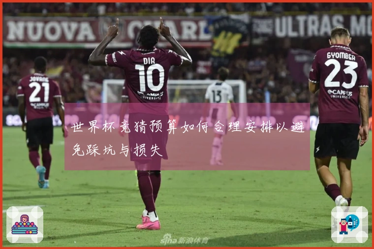 世界杯竞猜预算如何合理安排以避免踩坑与损失