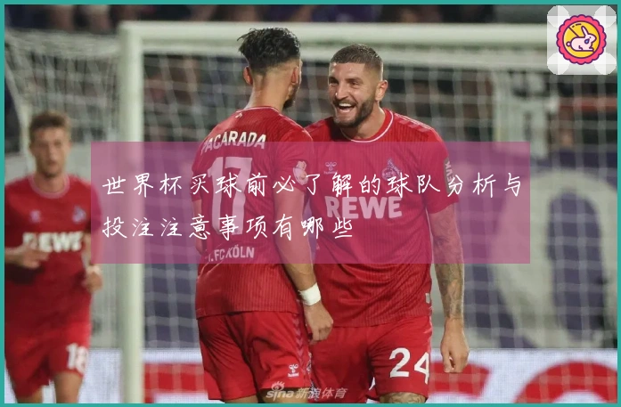 世界杯买球前必了解的球队分析与投注注意事项有哪些