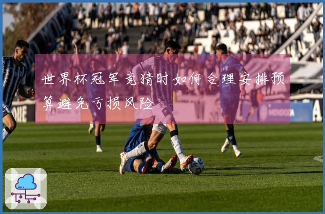 世界杯冠军竞猜时如何合理安排预算避免亏损风险