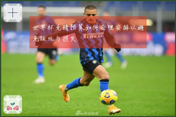 世界杯竞猜预算如何合理安排以避免踩坑与损失