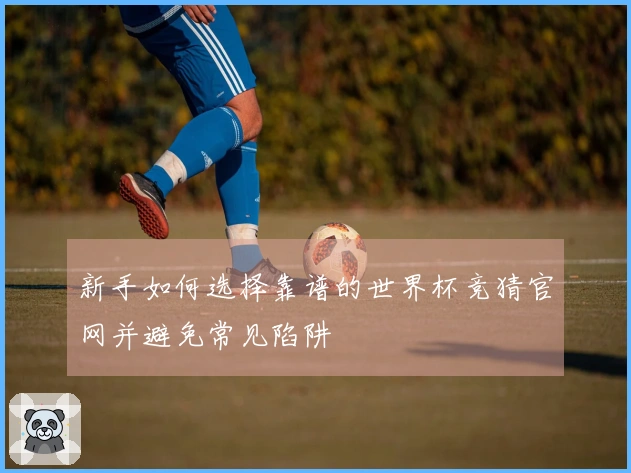 新手如何选择靠谱的世界杯竞猜官网并避免常见陷阱