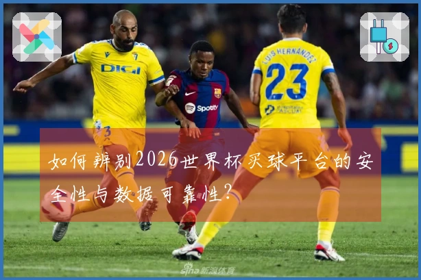 如何辨别2026世界杯买球平台的安全性与数据可靠性？