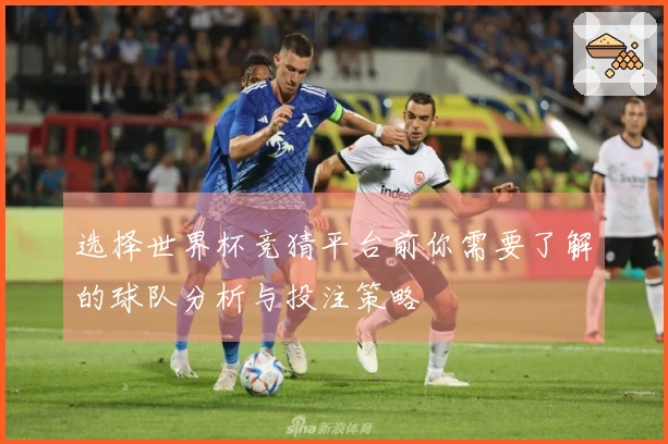 选择世界杯竞猜平台前你需要了解的球队分析与投注策略
