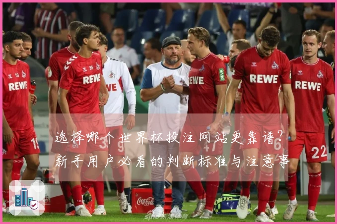 选择哪个世界杯投注网站更靠谱？新手用户必看的判断标准与注意事项