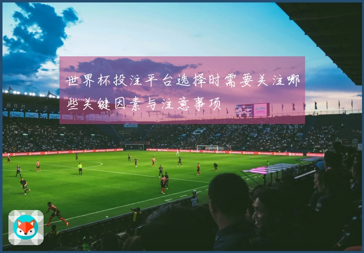世界杯投注平台选择时需要关注哪些关键因素与注意事项