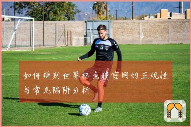 如何辨别世界杯竞猜官网的正规性与常见陷阱分析