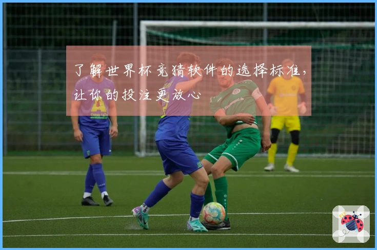 了解世界杯竞猜软件的选择标准，让你的投注更放心