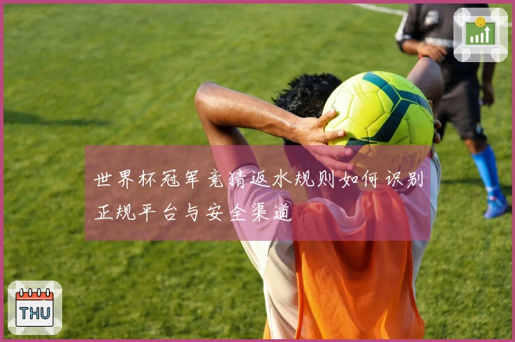 世界杯冠军竞猜返水规则如何识别正规平台与安全渠道