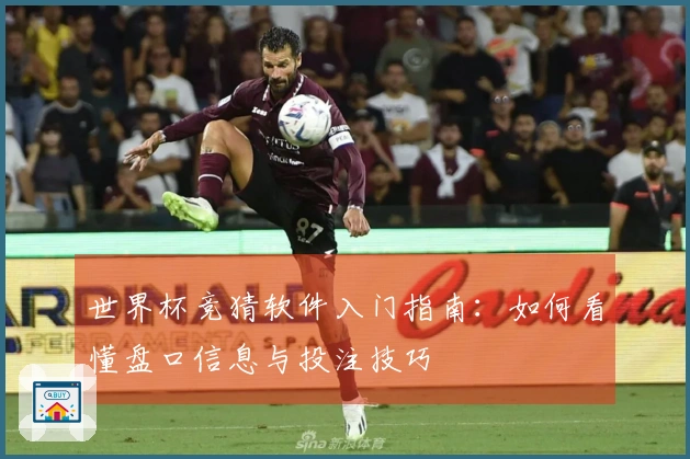 世界杯竞猜软件入门指南：如何看懂盘口信息与投注技巧