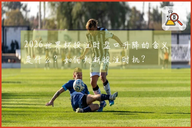 2026世界杯投注时盘口升降的含义是什么？如何判断投注时机？