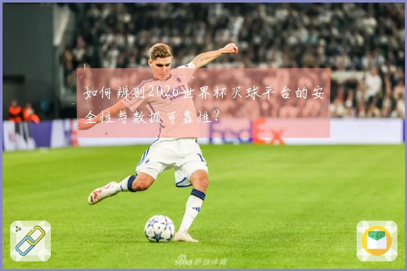 如何辨别2026世界杯买球平台的安全性与数据可靠性？