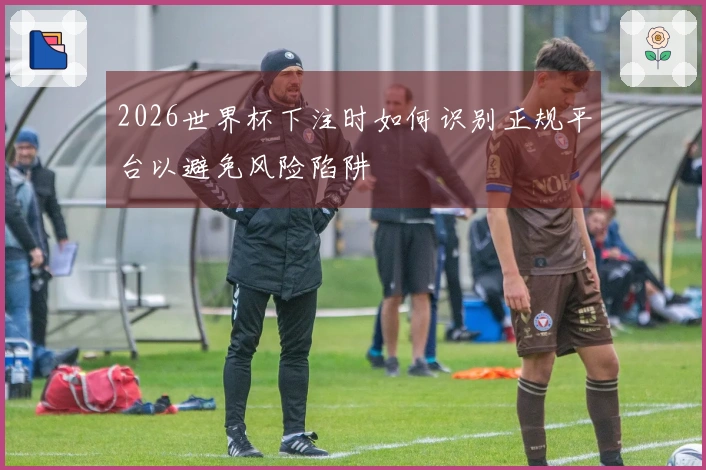 2026世界杯下注时如何识别正规平台以避免风险陷阱
