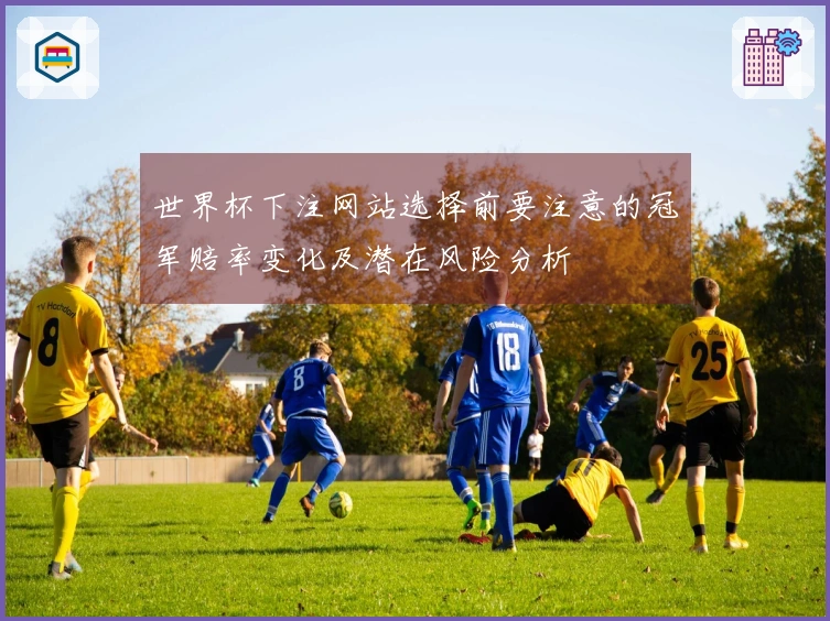 世界杯下注网站选择前要注意的冠军赔率变化及潜在风险分析
