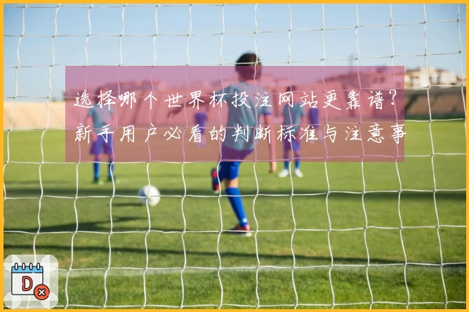 选择哪个世界杯投注网站更靠谱？新手用户必看的判断标准与注意事项