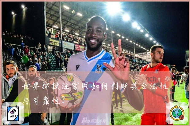 世界杯投注官网如何判断其合法性与可靠性？