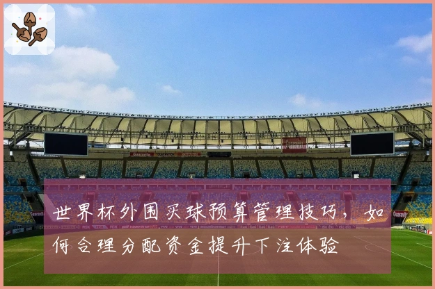 世界杯外围买球预算管理技巧，如何合理分配资金提升下注体验