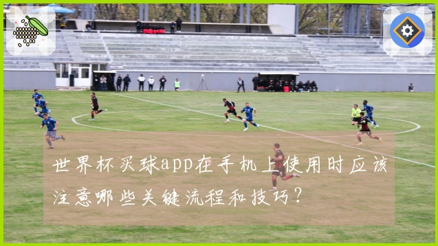 世界杯买球app在手机上使用时应该注意哪些关键流程和技巧？