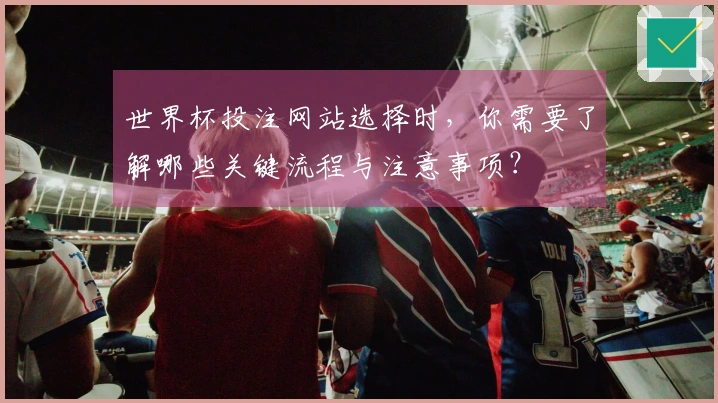 世界杯投注网站选择时，你需要了解哪些关键流程与注意事项？