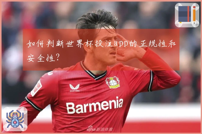 如何判断世界杯投注app的正规性和安全性？